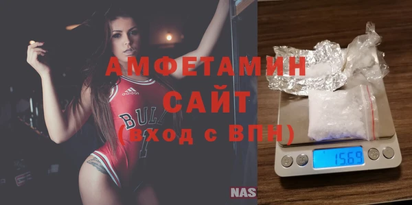 амф Каменка