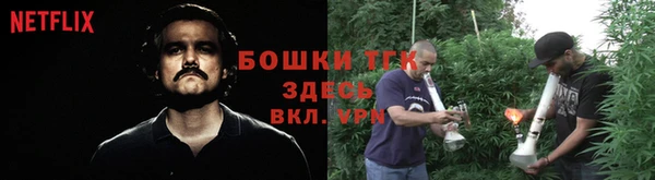 амф Каменка