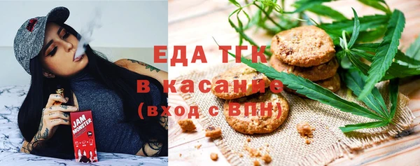 амф Каменка