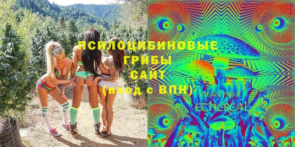 амф Каменка